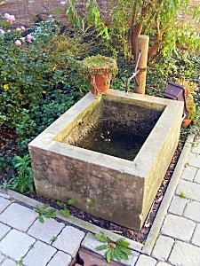 Brunnen Collegienstra&szlig;e 81